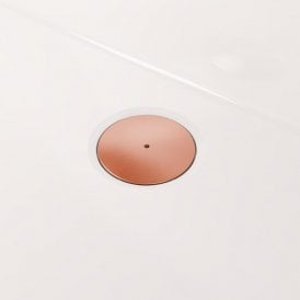 Eastbrook 90mm Fast Flow Shower Waste Brushed bronze 98.5001
