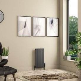 Eastbrook Addington II Radiator 600mm x 300mm Type 10 Matt Anthracite   62.0128