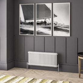 Eastbrook Imperia 2 Column Radiator 450mm x 1010mm Gloss White   41.0906