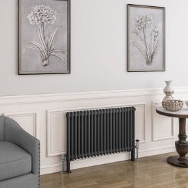 Eastbrook Imperia 2 Column Radiator 600mm x 1010mm Matt Anthracite   41.0398