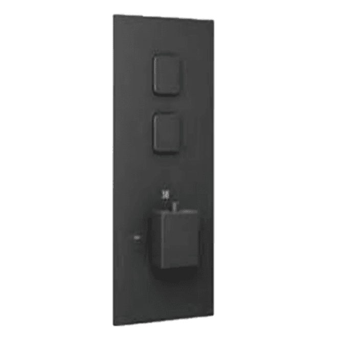 Eastbrook  Square Concealed Thermostatic Double Push Button Shower Valve Black   93.0093