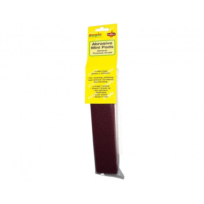 Regin  Abrasive Mini Pads (5 pads per pack) REGM42